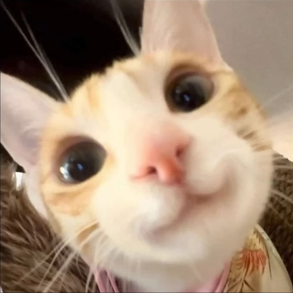 image - 1.png